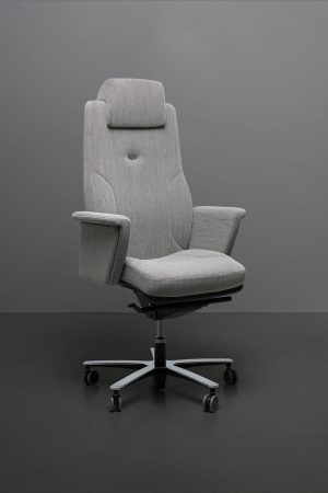 Voici une jolie photo d'un fauteuil de bureau de direction 24/24 ton sur ton gris