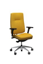 King Edgard - fauteuil de bureau ergonomique
