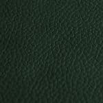 Cuir Série 100 Vert