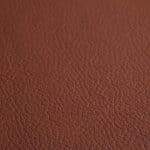 Cuir Série 100 Marron